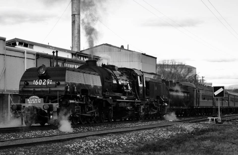 The historic steam engine - owned by the Australian Railway Historical Society - in all its glory. Photo: BENN EAGLE