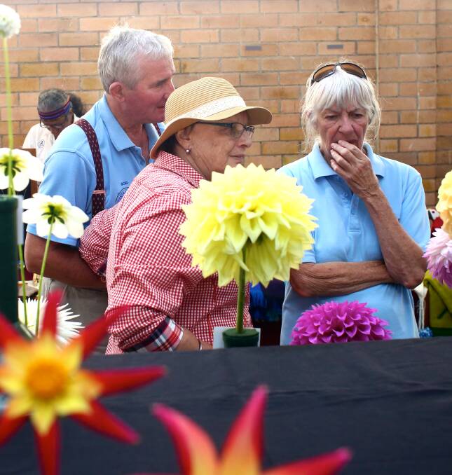 Big decision: Bob and Liz Smith and Anne Hayman during the Dahlia judging at last year's show. Photo: Phil Blatch