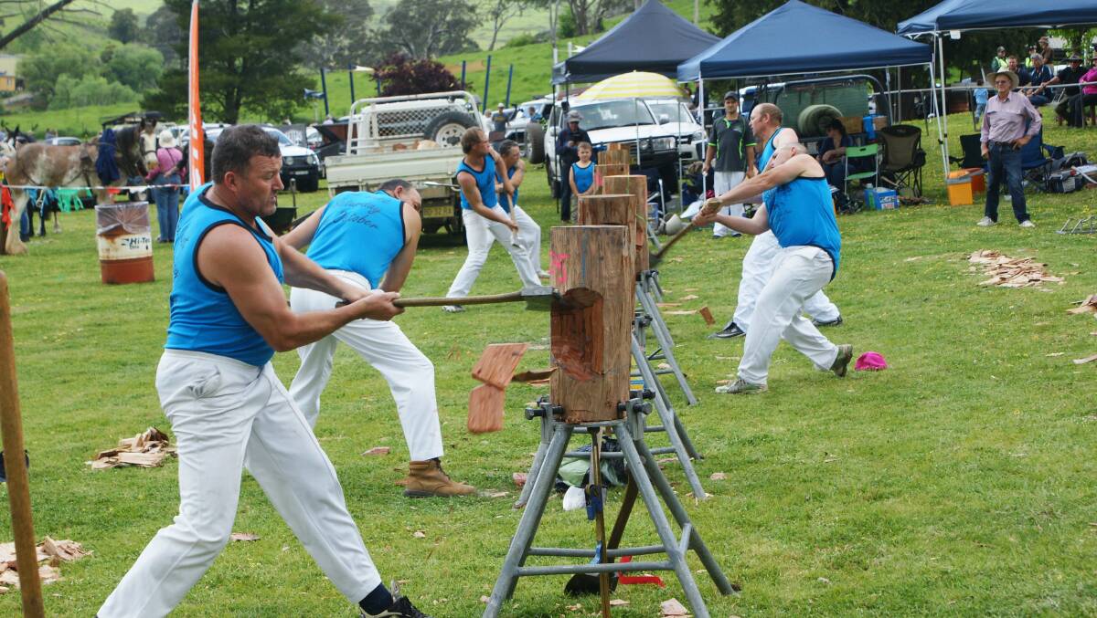 Chop, chop: One of the Carcoar Show's most popular events are the woodchopping events run by the Mid Western Axemen's Association.