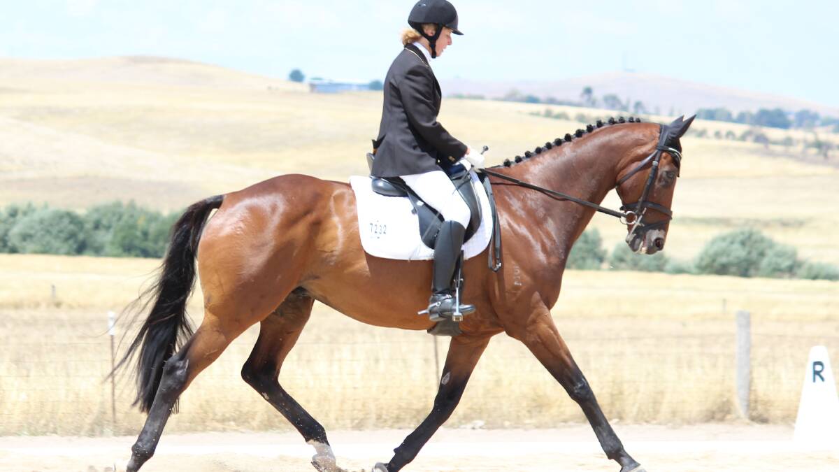 Dressage arenas open this Sunday