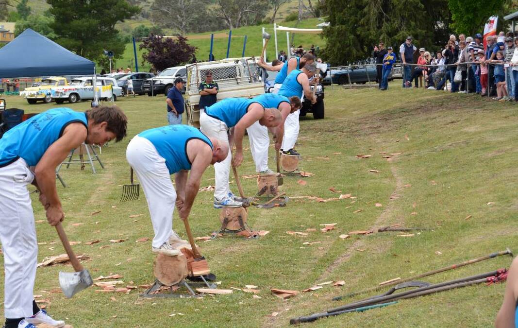 Woodchopping at the 2015 Carcoar Show. Photo: Central Western Daily