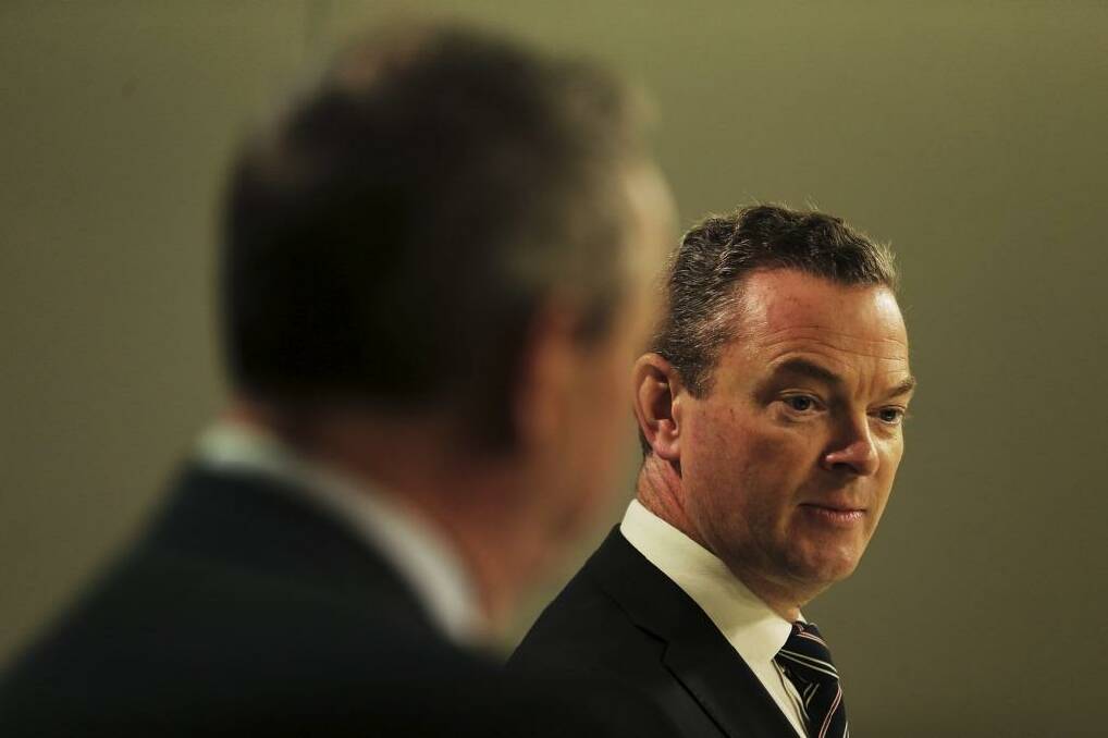 Education Minister Christopher Pyne. Photo: Kate Geraghty