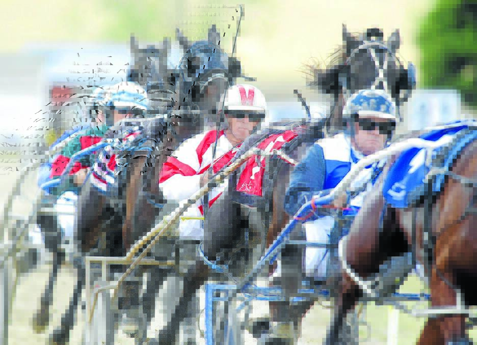 Leigh Davis drove Browns Creek's Boy to victory in the first race. Picture: Phil Blatch. 