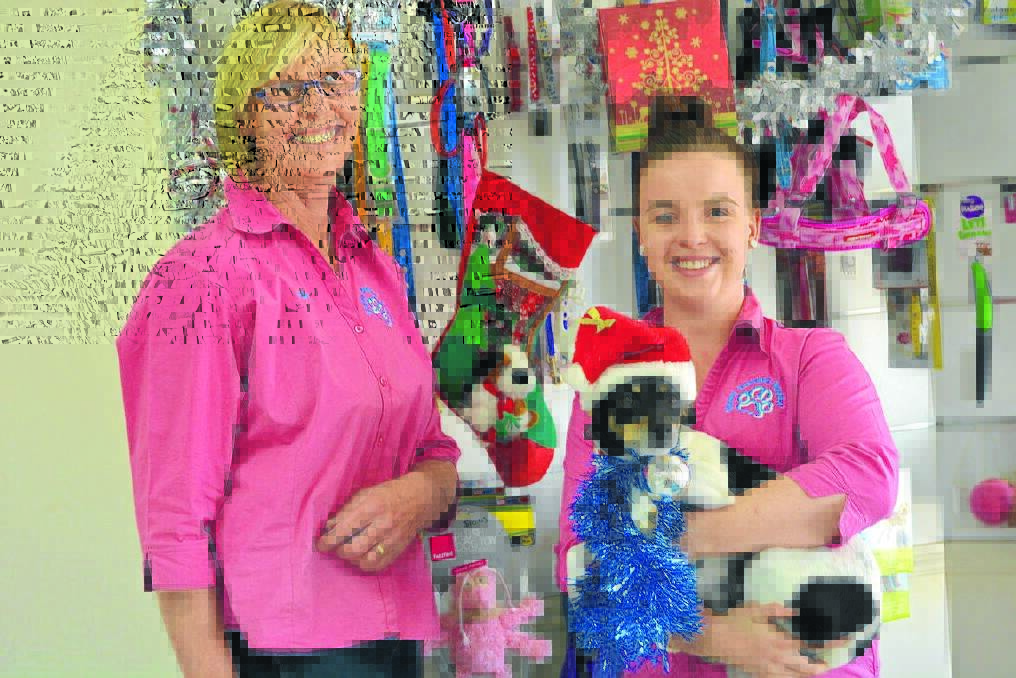 Kay Donlan and Sarah Ewin with Snapper getting into the Christmas spirit.