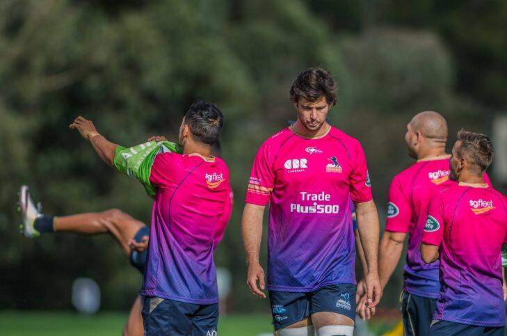 brumbies Captains run, 17th March, prior to the away game V Waratah's. Captain Sam Carter. Photo by Karleen Minney. Photo: Karleen Minney