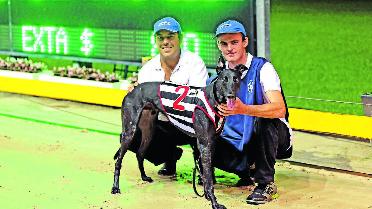 ORANGE: SHAKEY Jakey’s racing career could be brief despite the dog smashing the track record at Wentworth Park on Sunday night. In his maiden start, the dog trained by Clergate’s Dave Pringle, took 0.2 seconds off the 520 metre track record, stopping the clock in 29.07 seconds.
