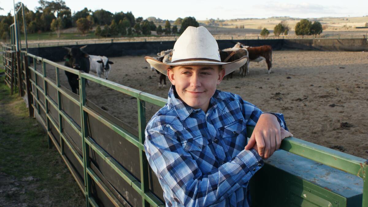 RIDING HIGH: Lachlan Little will be competing in the National High School Rodeo association finals in Tennessee.