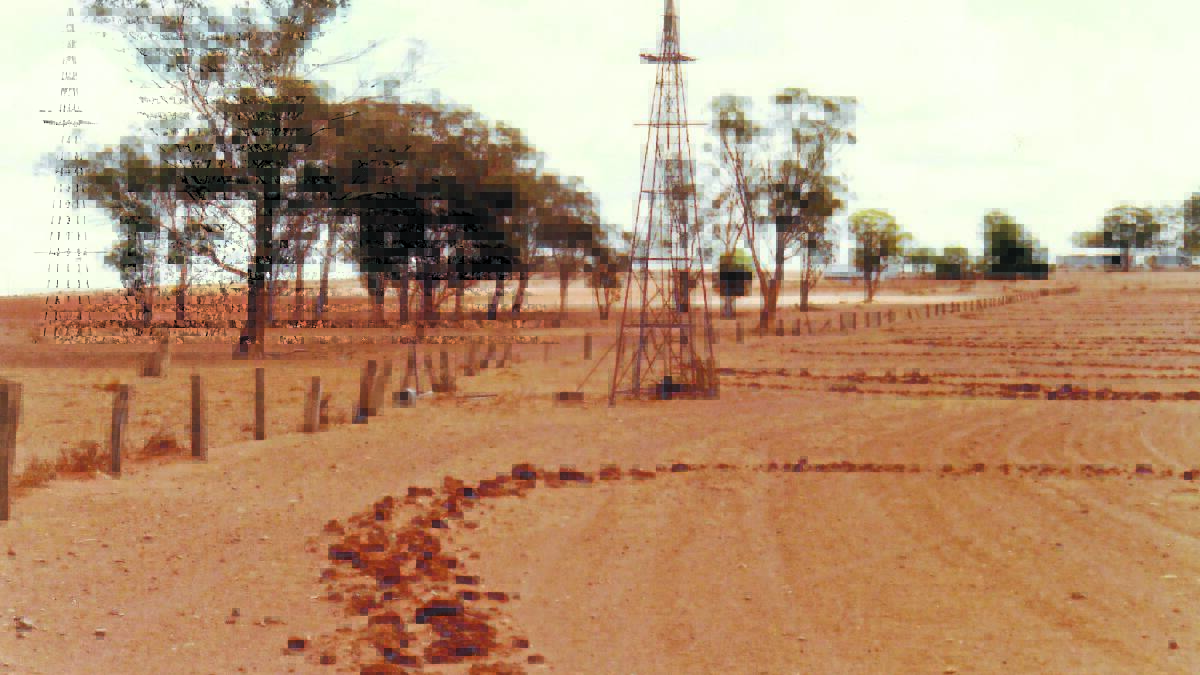 Through the hard times – this pic was taken during the drought of 1982 
which had been preceded by a massive grasshopper plague in 1980. The drought broke in may 1983.