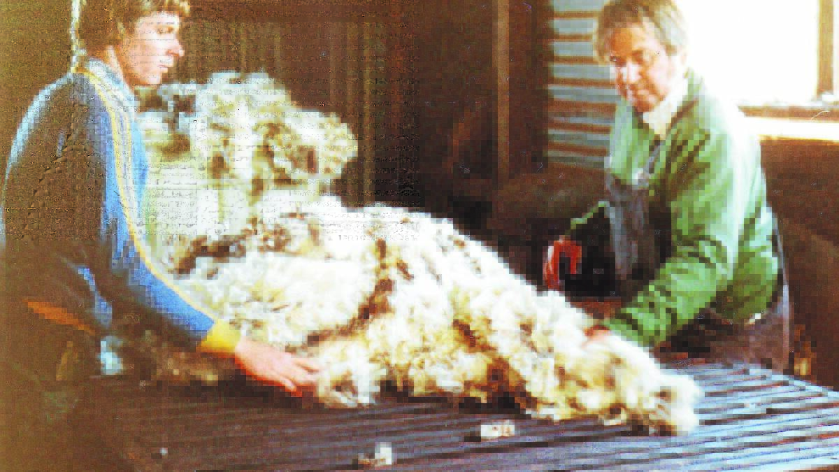 Cliff Westcott and nephew Ian in the wool shed.