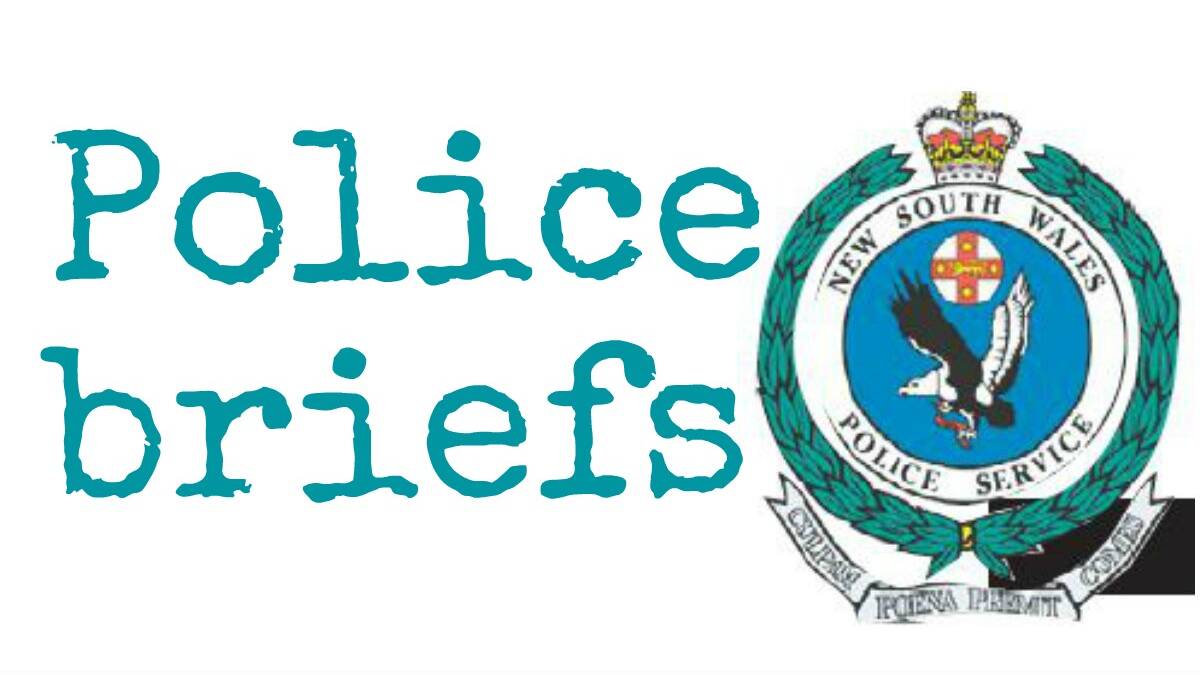 Police Briefs
