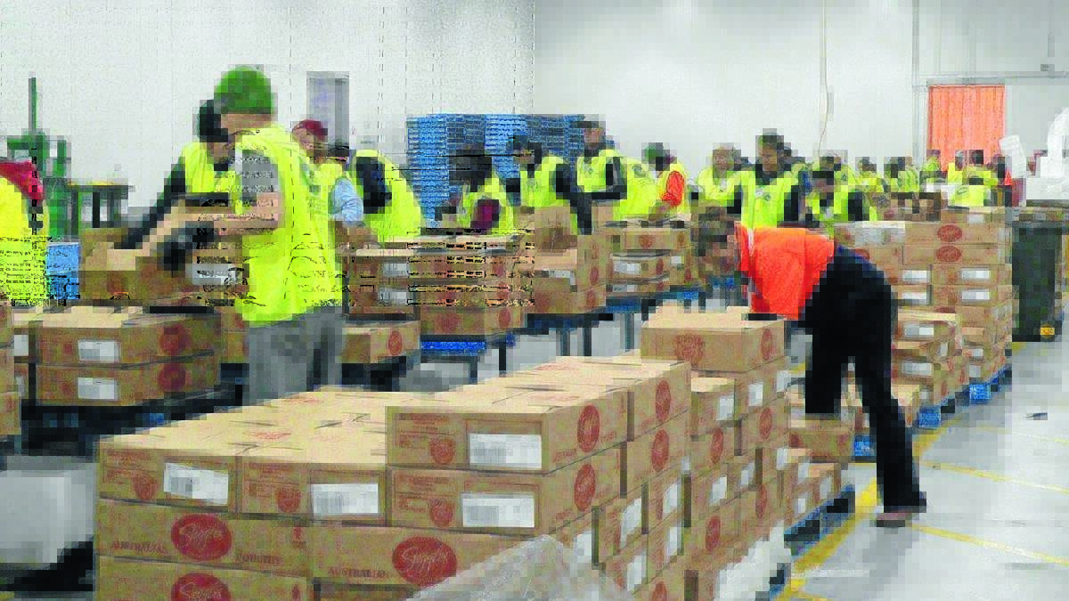 LEADERS OF THE PACK: The production line at Blayney Wholesale Foods which is turning out thousands of Hamper King packages in time for delivery this Christmas 111714hamper
