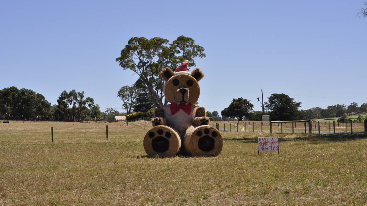 Adelaide Hills: You see some unusual sites driving through the hills of South Australia such as this bear in a paddock. Picture: Joanne Fosdike.