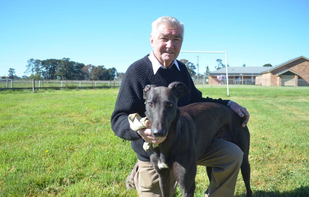 SPRING IN THE STEP: Spring Hill greyhound trainer Greg Board with Spring Skipper, who will race in Cowra on Saturday. Photo: DECLAN RURENGA