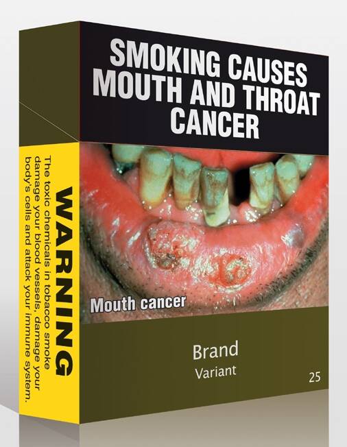 PLAIN PACKAGING: What a packet of cigarettes will look like from January 1 under the Federal Government's new laws.