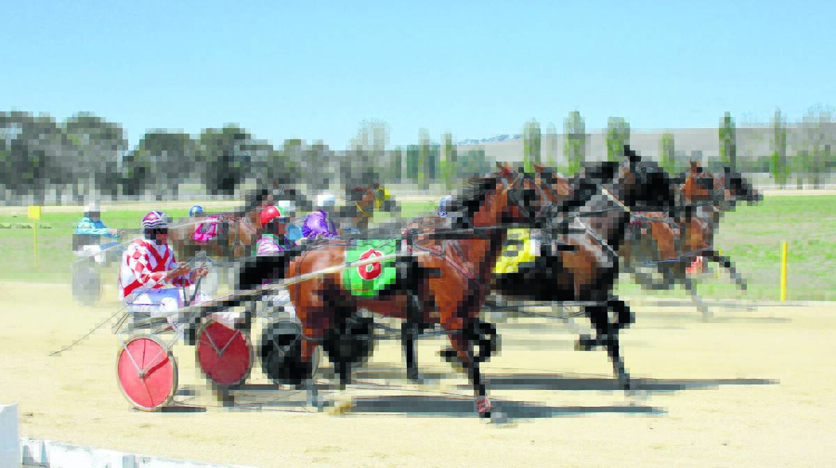 The Blayney Harness Club held a perfect day of racing on Sunday. Picture: Shannon Chapman.