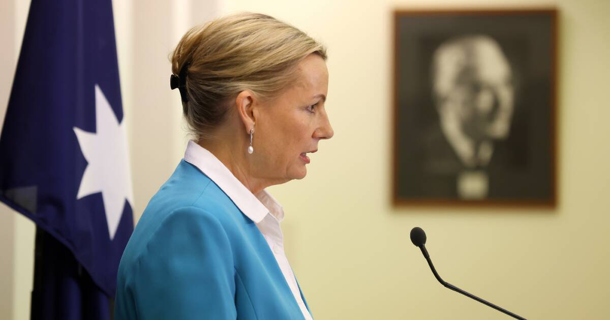 Susan Ley welcomes preselection of Maria Kovacic for late Jim Molan's NSW Senate spot