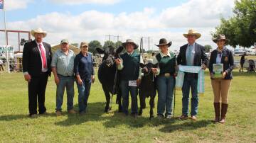 Judge Tim Lord, Gundagai, exhibitors Annette Barham and Murray Sowter, Moss Vale, handlers Jamie Hollis, Pittsworth, QLD, and Casey Halliday, Wildes Meadow, Tony Starr, Starrs Limousins and Angus, Bowning, and Eliza Babazogli. Photo by Alexandra Bernard.