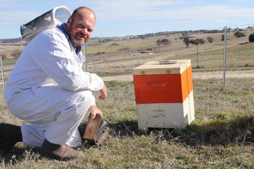 BUSY AS A BEE: Bathurst Amateur Beekeepers Association NSW president George Hancock with one of his beehives at his Georges Plains property. Photo: BRADLEY JURD