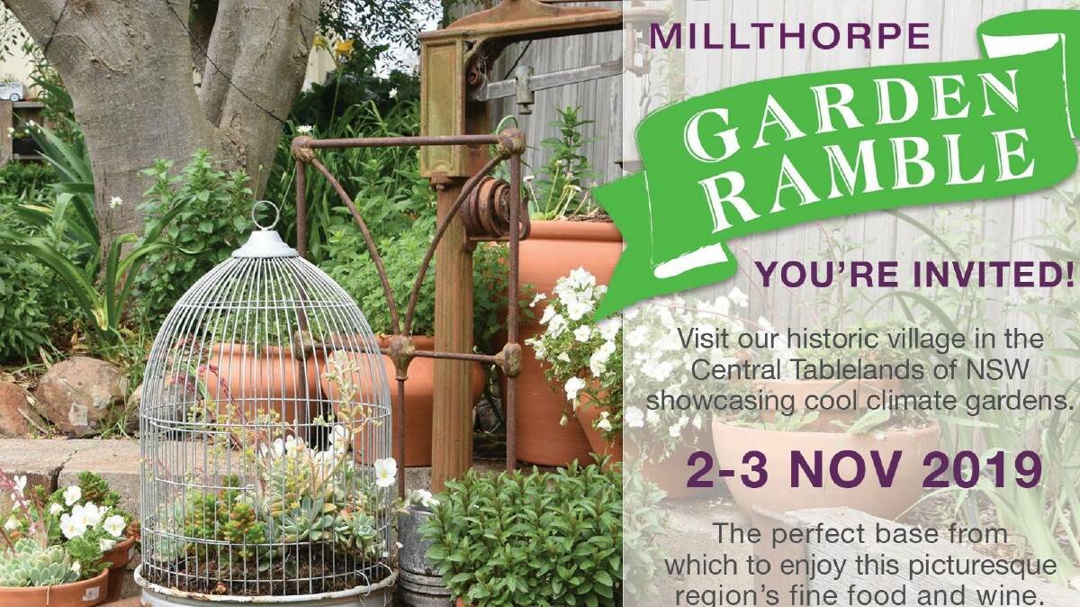 Ramble through 10 gardens open in picturesque Millthorpe Village and its surrounds and be inspired! Join us in this 15thyear of the Millthorpe Garden Ramble for a fantastic day or weekend whether you are a passionate gardener or just love to explore beautiful spaces and places. Here is your opportunity to go behind the garden fences and gates and have a peek at what the local gardeners are achieving. Whether you are looking for landscaping ideas, creating a new garden or love exploring established gardens  there is something for everyone. You will have a chance to see the trees and plants which thrive in this beautiful cool climate area.