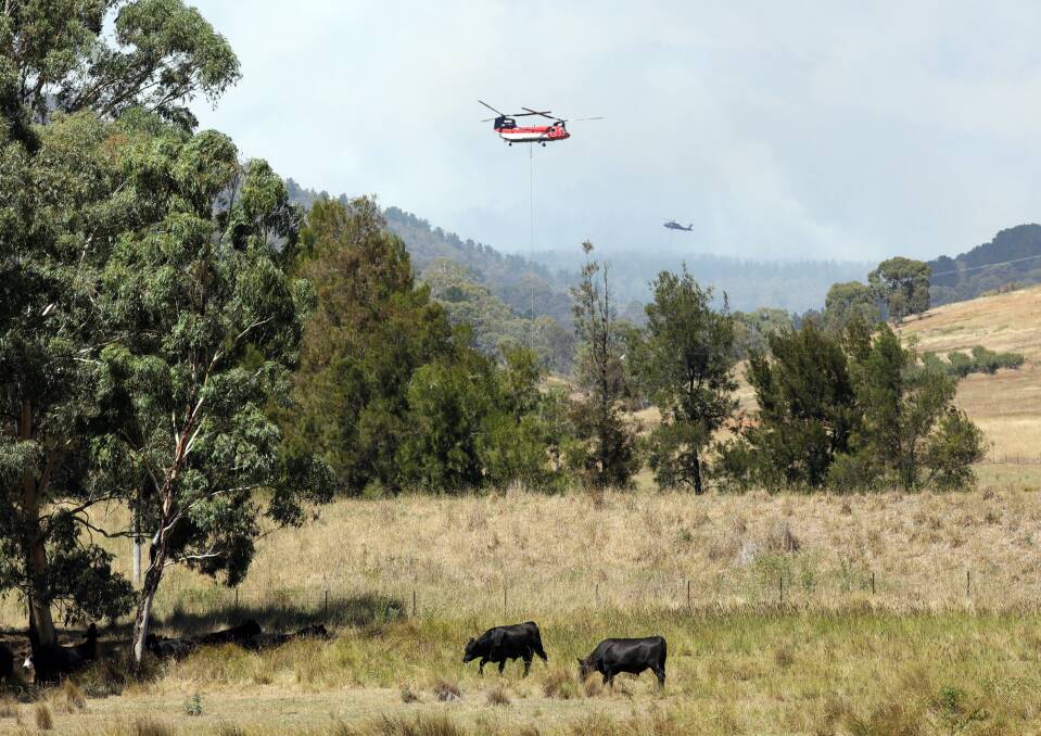 The Central Western Daily's images from the scene of the fire on Mount Canobolas