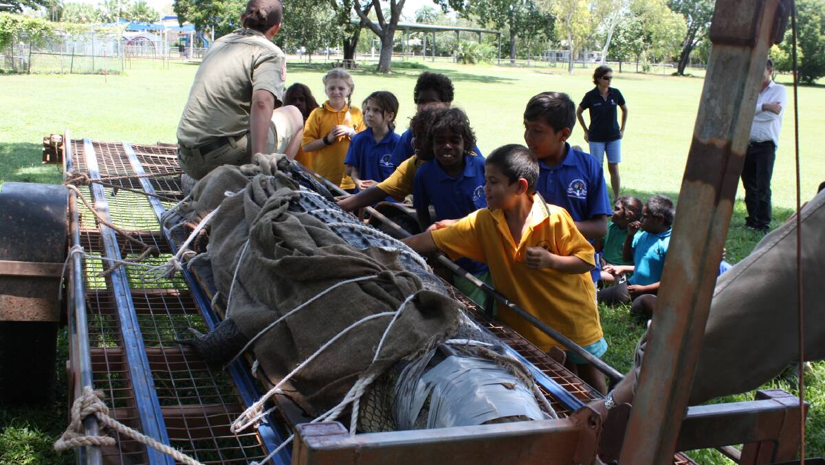 SHOW AND TELL: The rangers took the croc to Katherine's Clyde Fenton School to show the excited kids. Picture: Donna Capes.