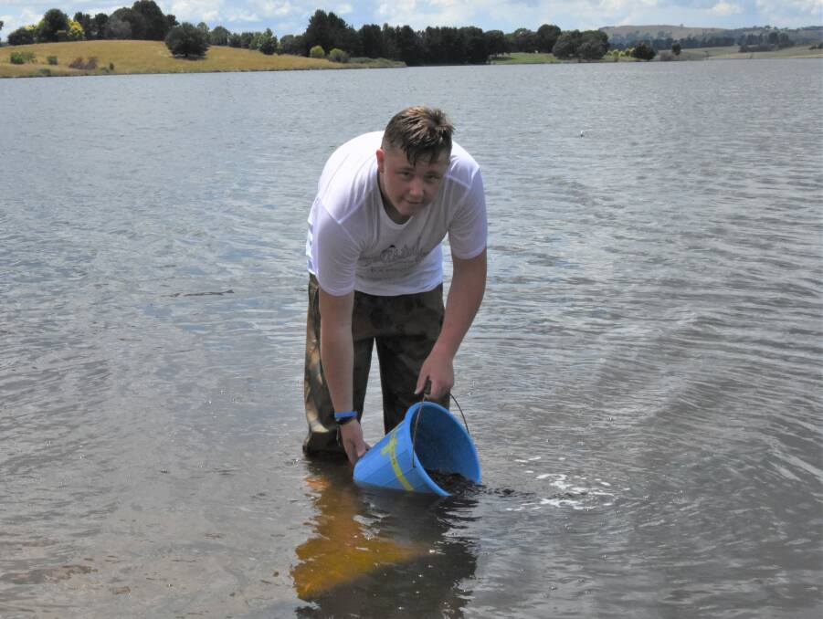 IN THEY GO: Zackery Riley adding the fingerlings to Carcoar Dam. The fingerlings are partly paid for by fishing licence fees. Photo: Mark Logan.