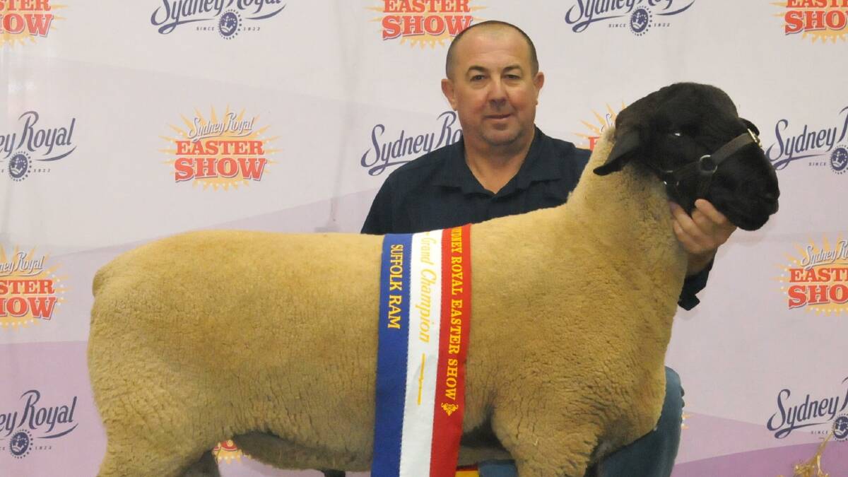 Grand Ram: Greg Good with his reserve champion Suffolk ram at the 2017 Sydney Royal Easter Show. Photo: Wayne Jenkins. 