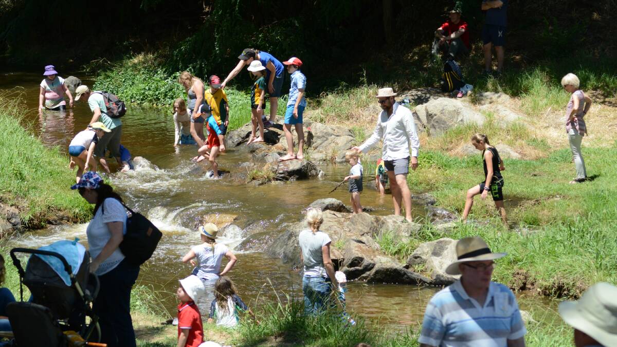 Cooling down period: The Belubula River was a popular spot with visitors during last year's Australia Day celebrations. Photo: Mark Logan.