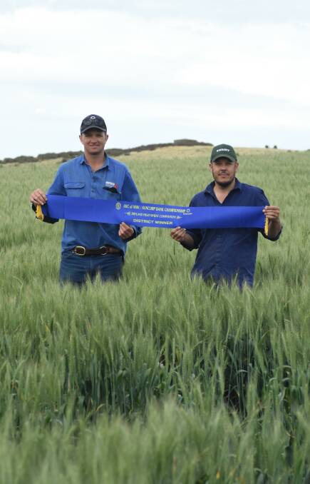 Blue ribbon crop: Stuart Tait and James Stonestreet in James's Coolah wheat crop just east of Blayney. Photo: Mark Logan.
