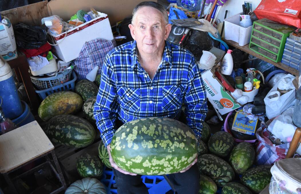 JAM PACKED: Allan Muggleton with the largest of the 30+ melons he has grown.