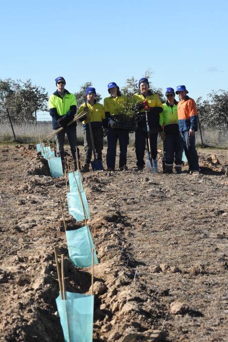 Team trees: Land Works members Dylan Shergold, Noah Martin, Brad Cambey, Shance Bartrim, Claudia Conomos and Graham Stirling at the new planting site. The stage one planting can be seen in the background.