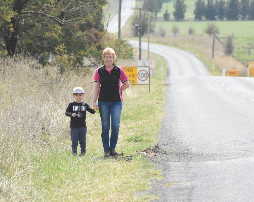 Big dipper: Jackie Rose with her grandson Mannix next to one of the patched sections of Hobby's Yards Road. Photo: Mark Logan.