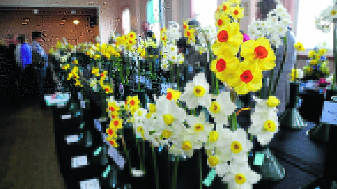 A&P flower show this Saturday