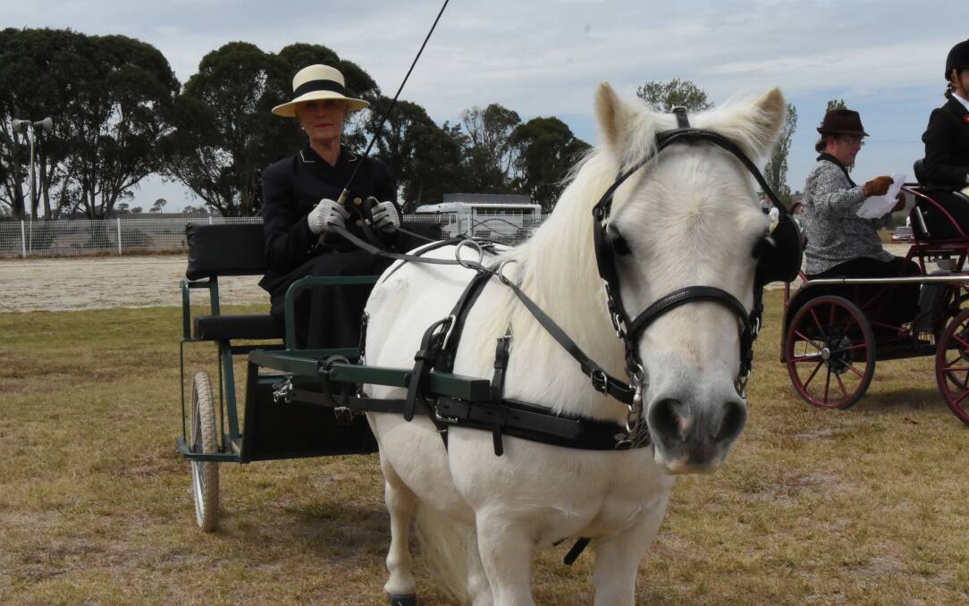 Cool ride: Cazzie Hedge and her pony Pip during the Light Harness Show Driving during the 2019 Blayney Show. Photo: Mark Logan.