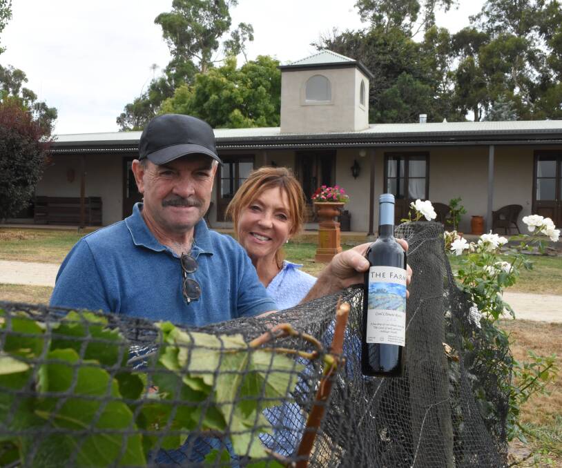 Buon vino: Kieran and Sue O'Brien are adopting Italian growing techniques and biodynamics on their half acre vineyard in Neville. Photo: Mark Logan.
