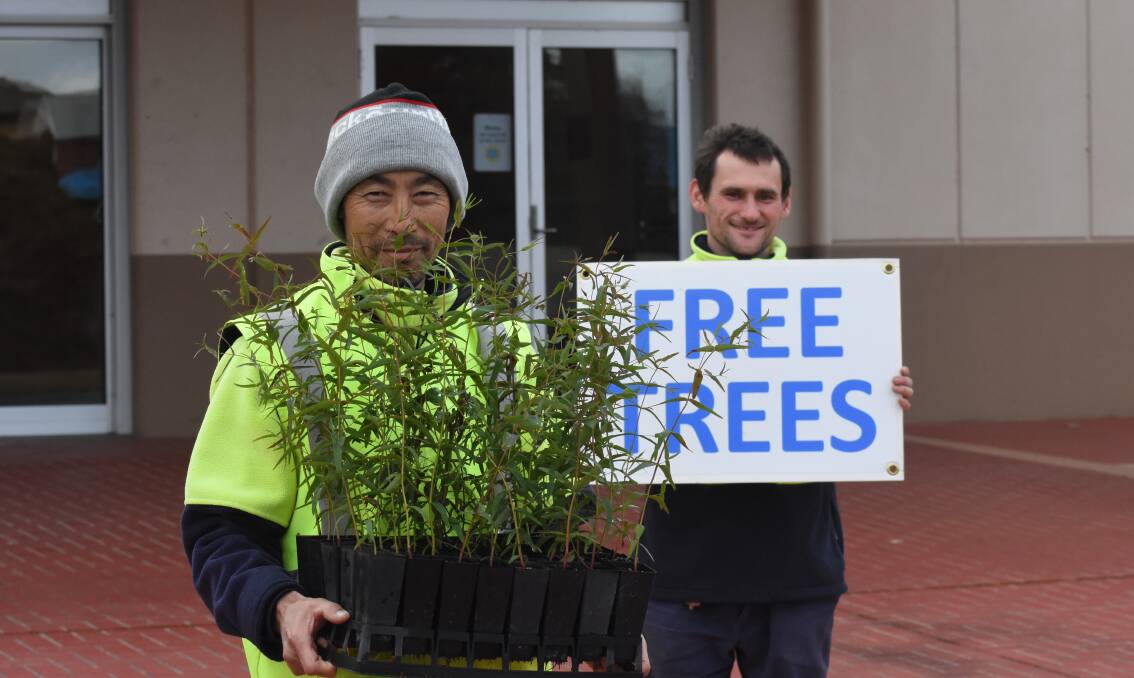 DIGGING IN: Council garden staff Kaz Fucina and Thomas Webster will be handing out plants this Friday. Photo: Mark Logan.