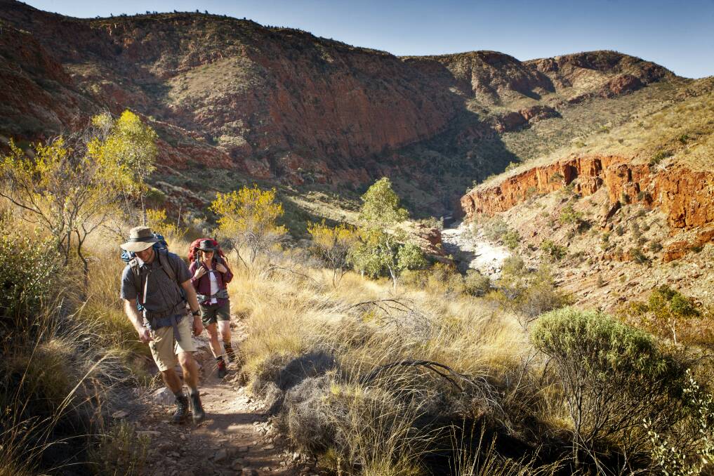 Tjoritja / West MacDonnell National Park stretches for 161 km west of Alice Springs. Explore and appreciate the scenic beauty and history of the area on foot, swim in a waterhole, or pitch a tent for a longer stay.
