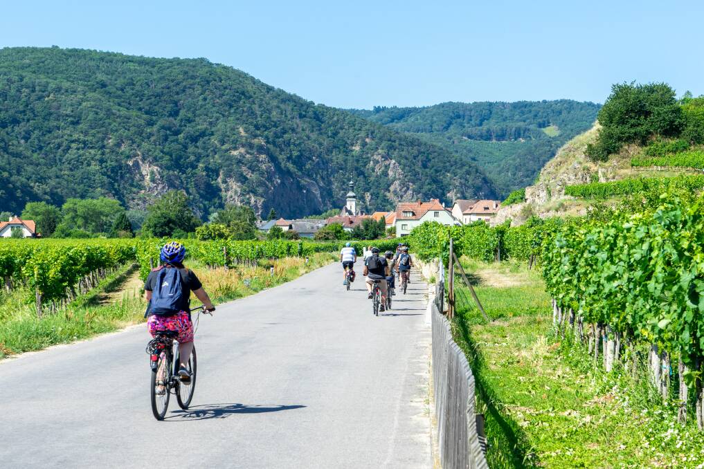 Cycling through Austria's Wachau Valley on an included cruise activity.
