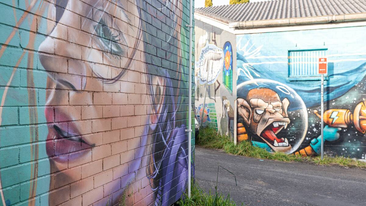 Some of the murals at the Katoomba Street Art Walk.
