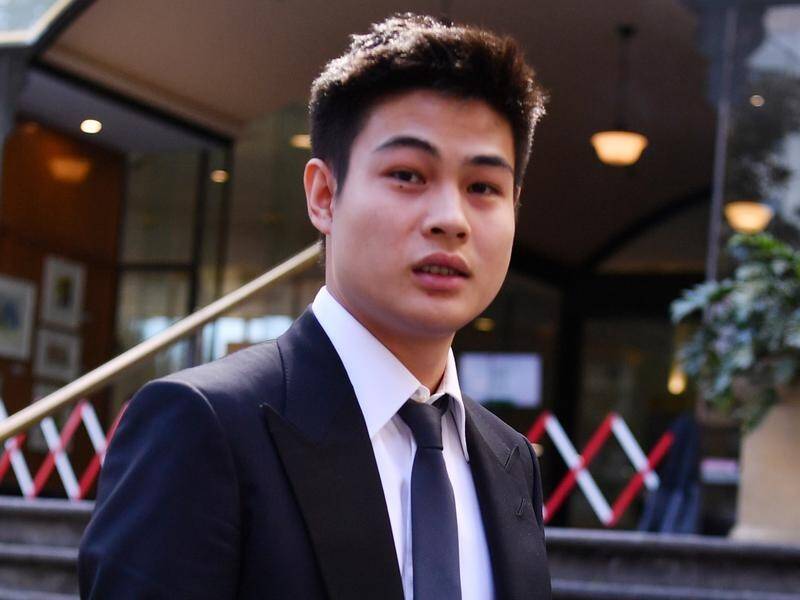 Alex Lu has been handed a community corrections order over his cat's death.