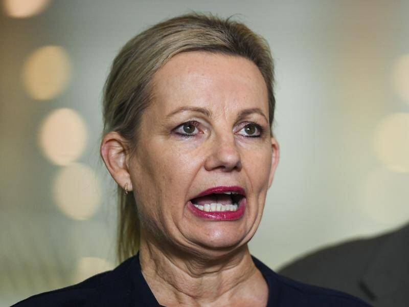Environment Minister Sussan Ley welcomed the decision against an immediate in-danger listing.
