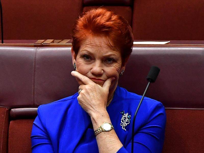 Pauline Hanson is against an idea to use conscription to boost emergency services volunteer numbers.