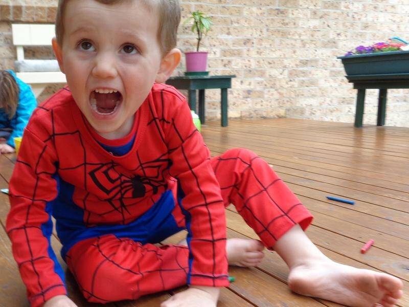 William Tyrrell was dressed as Spiderman and roaring like a tiger on the day he disappeared.