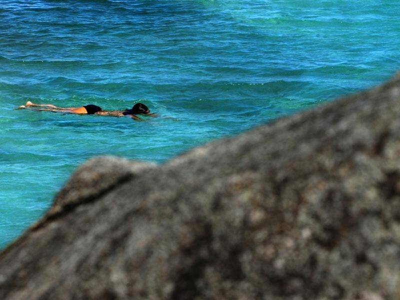 A woman has been mauled by a shark while swimming at Queelnsland's Fitzroy Island.