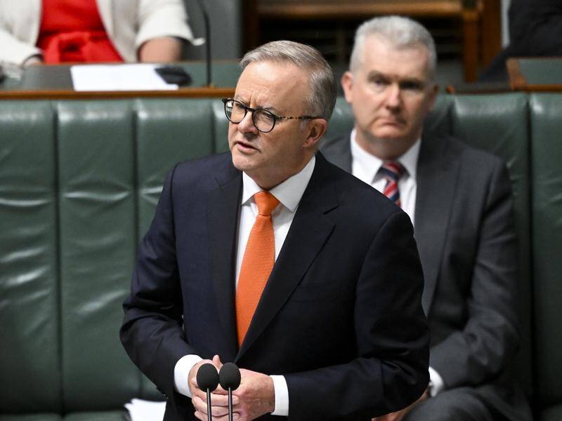 Prime Minister Anthony Albanese said the laws were a win for honesty, accountability and integrity. (Lukas Coch/AAP PHOTOS)