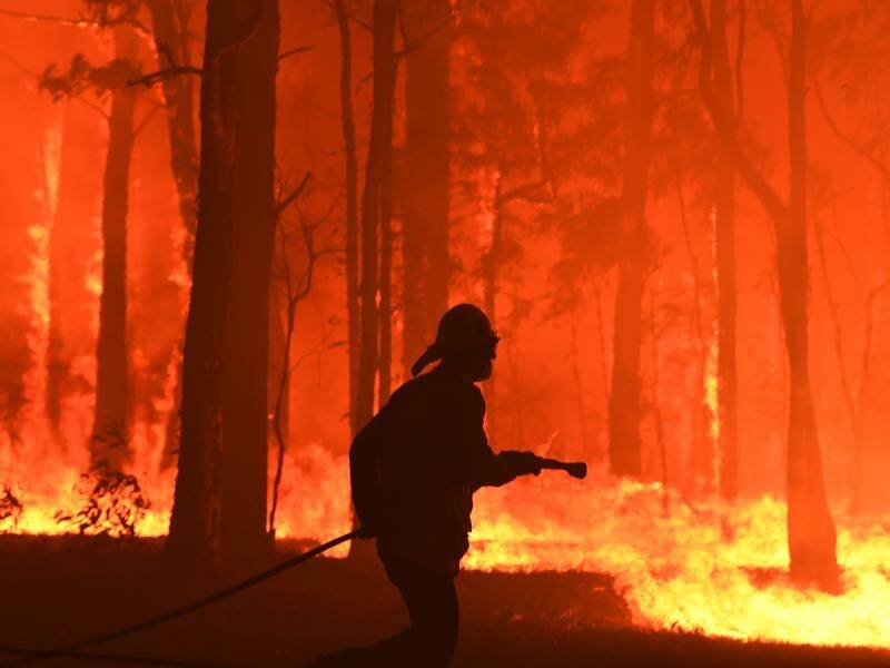 Fire fighters are working around the clock as all six Australian states are on high fire alert.