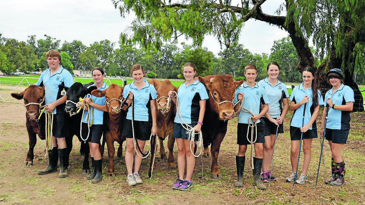 FORBES: Red Bend Catholic College’s cattle team will head to Royal Canberra Show tomorrow. PICTURED (l-r) with some of the cattle being exhibited are Stephen Swanston, Kate Sandford, Brooke Tattersall, Leisl O’Halloran, Jarod Kelly, Ashley Hall, Shaylee Smith and Molly Cavanagh