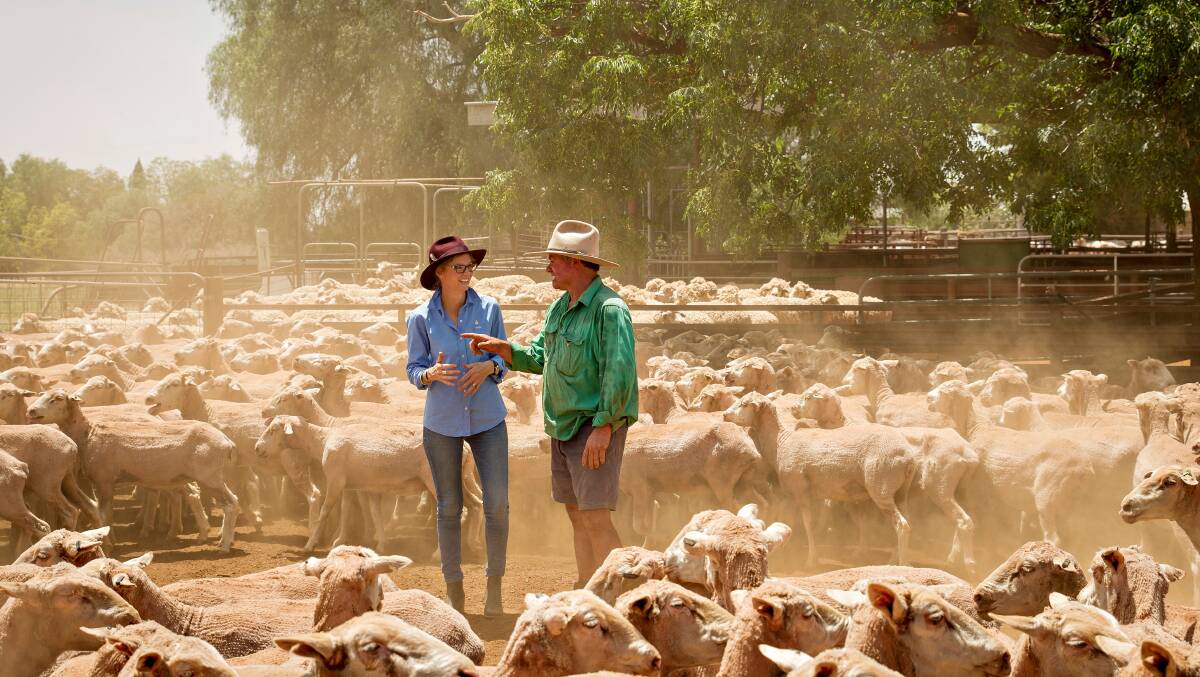 IN THE FIELD: Steph Cooke chats with local grazier at Young. Picture: Contributed.