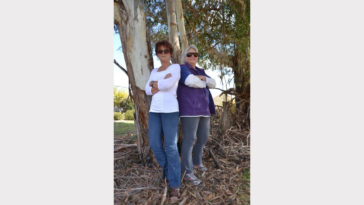 Cecily Walters and Loretta Kervin are organising an expansion art and craft exhibition to be held in Blayney next March.