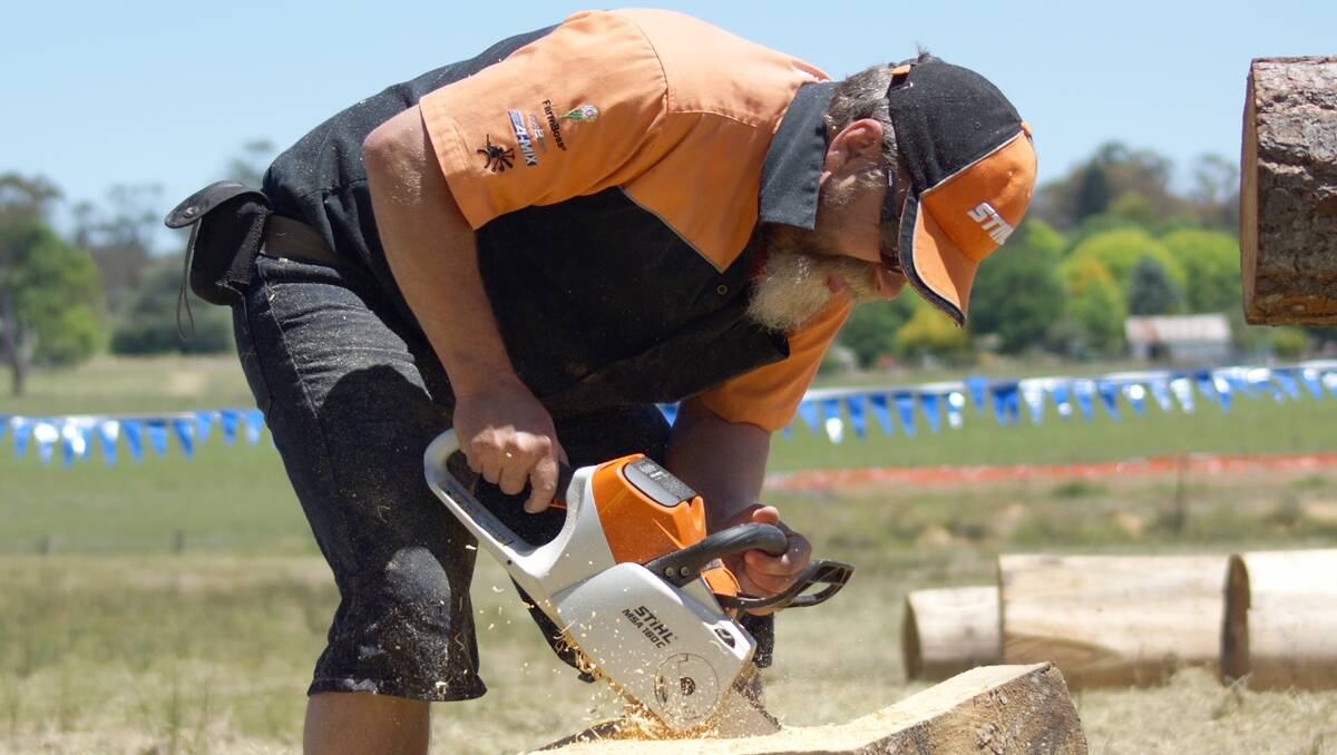Chainsaw sculptor, Dick Smith busily fashions his log into a work of art during one of the chainsaw demonstrations.  